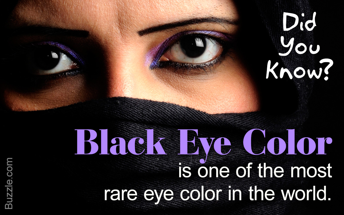 Eye Color Percentages