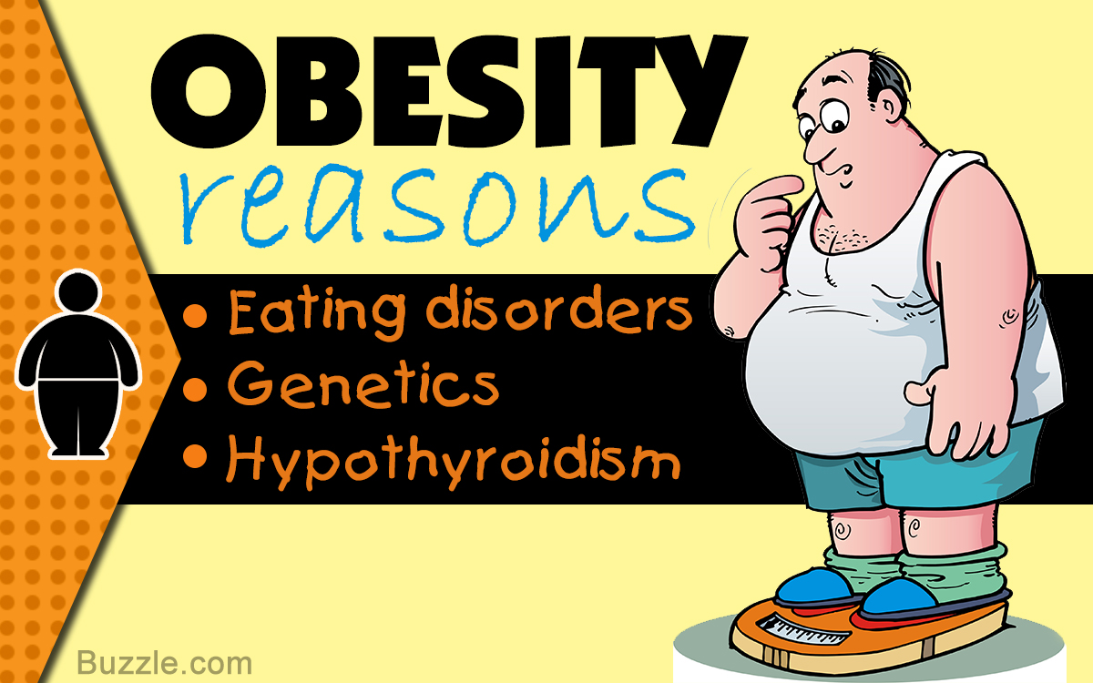 Is Obesity a Disease?