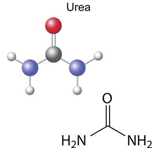 Chemical formula and model of urea molecule