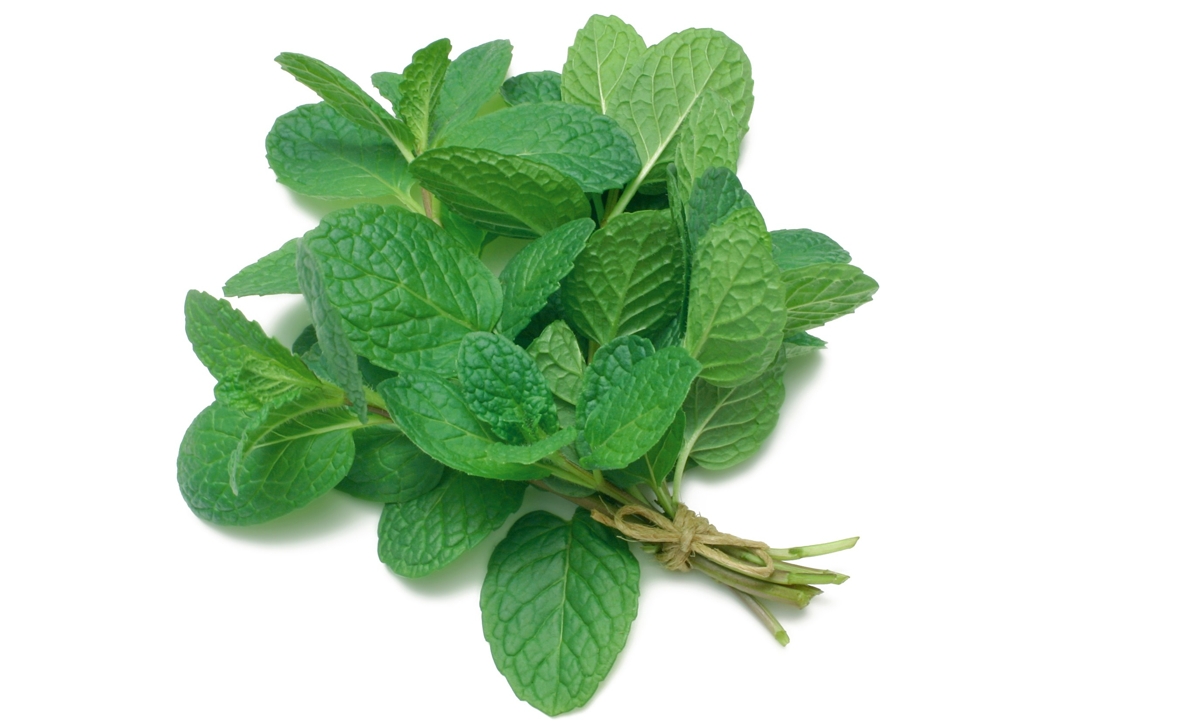 Simple Methods for Drying Mint Leaves to Store Them for Later Use