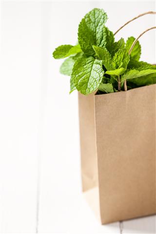 Bunch of the mint in a paper brown shopping bag