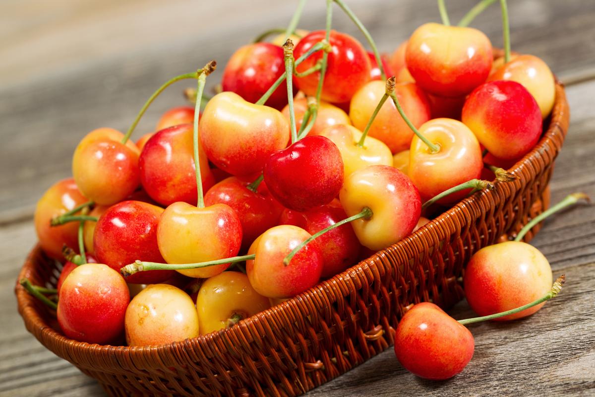 What Are The Different Types Of Cherries Nutrineat