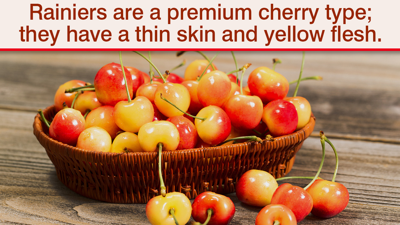 What are the Different Types of Cherries
