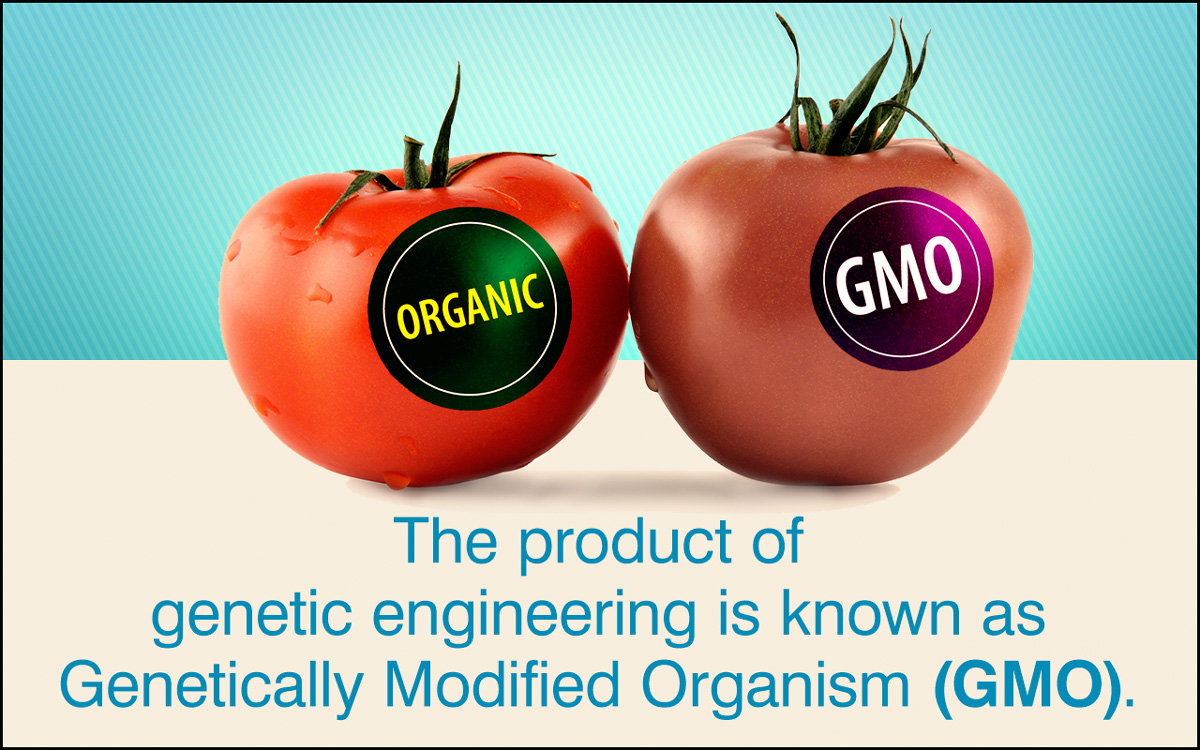 Facts about Genetic Engineering