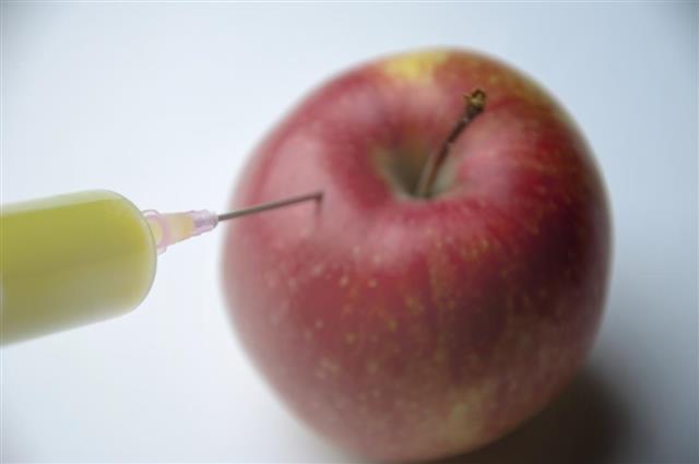 Apple GMO syringe Injection into red apple
