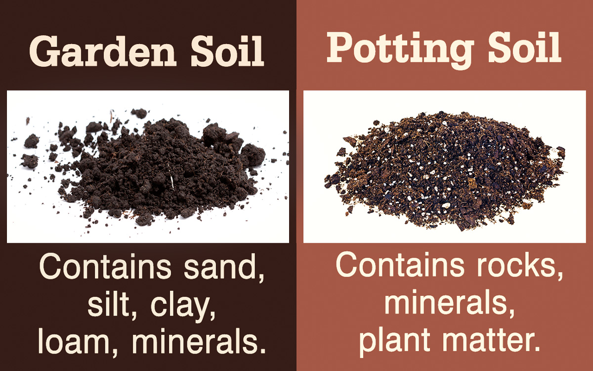 Garden Soil Vs. Potting Soil