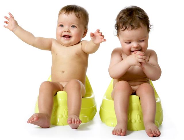 separate potty seats for twins