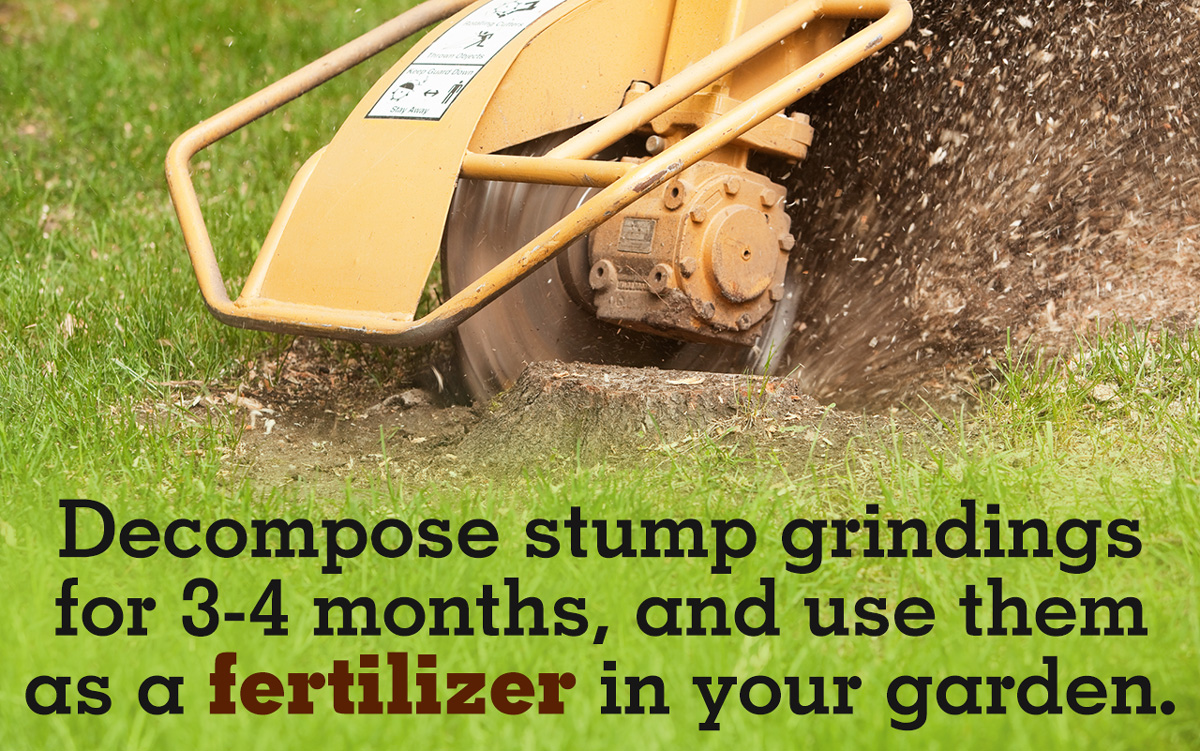 What to Do with Stump Grindings