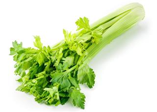 Fresh green celery