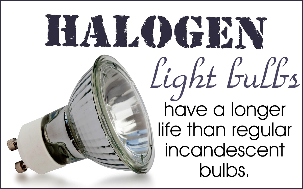 Quick Facts about Halogen Light Bulbs