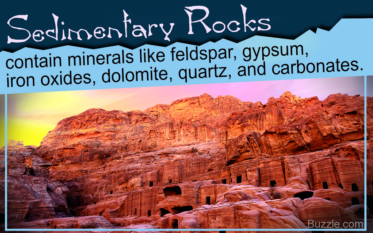 What are the Characteristics of Sedimentary Rocks?