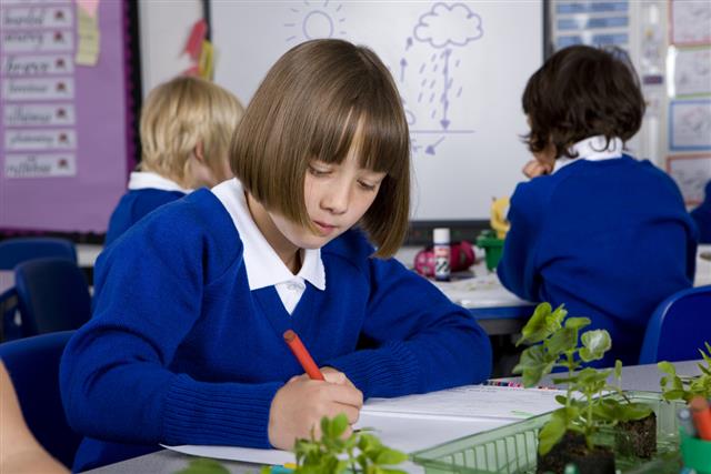 School girl writing in notebook with plant seedlings on desk
