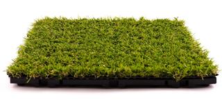 Patch of Artificial Turf