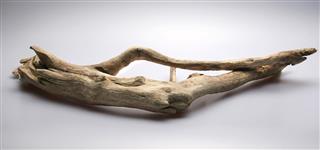 Dry piece of driftwood