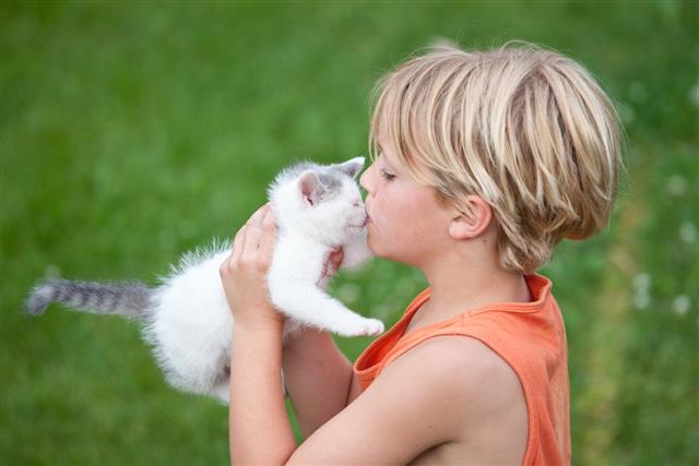 Young Boy Kissing a Kitten