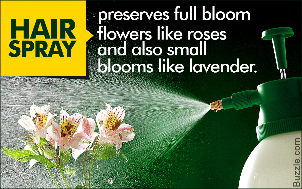 Can You Preserve Flowers Using Hairspray?
