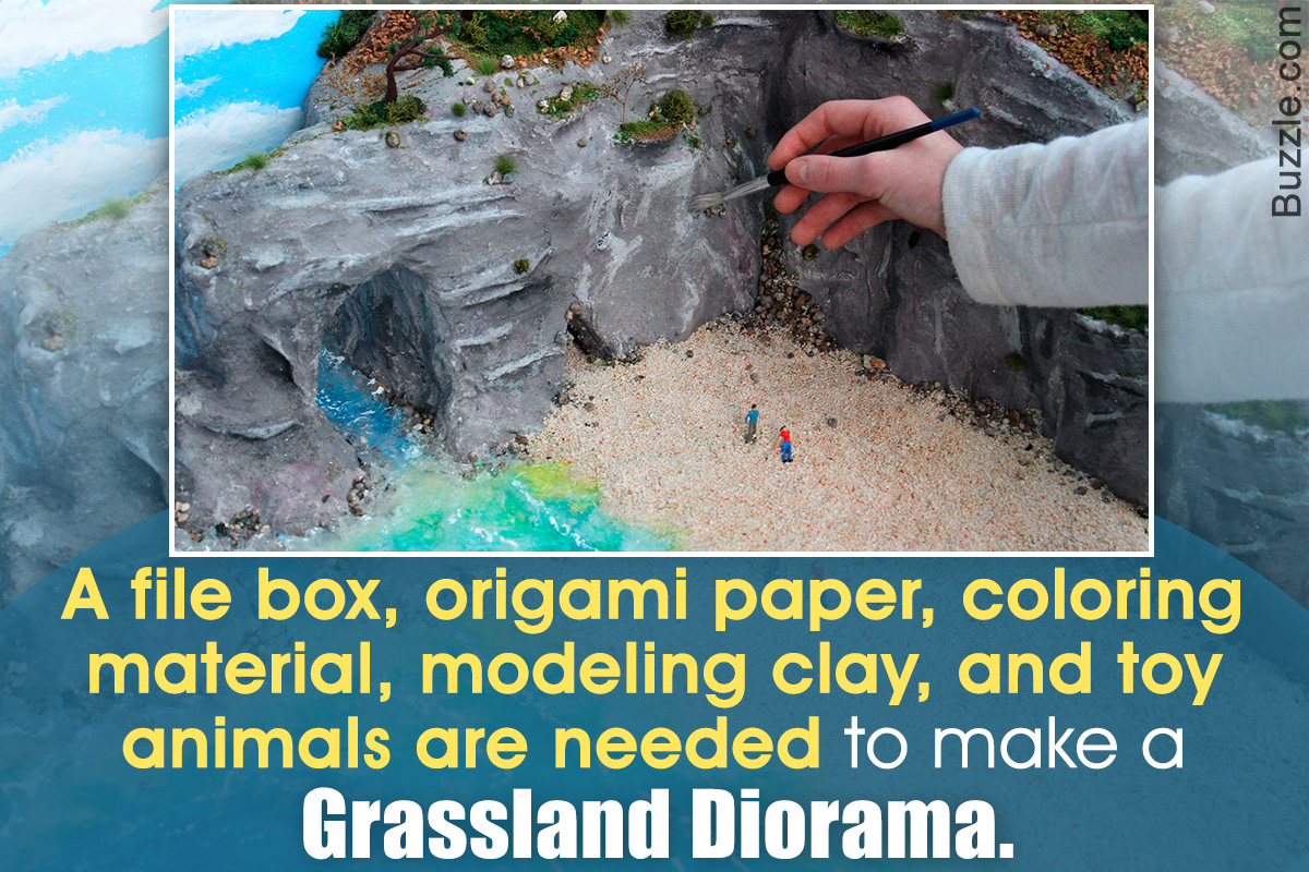 How to Make a Grassland Ecosystem Diorama