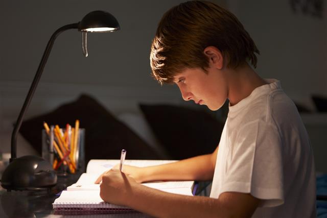 Young Boy Studying At Desk In Bedroom