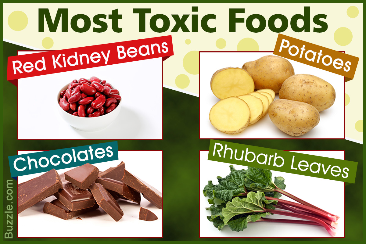 Toxic Foods We Love to Eat