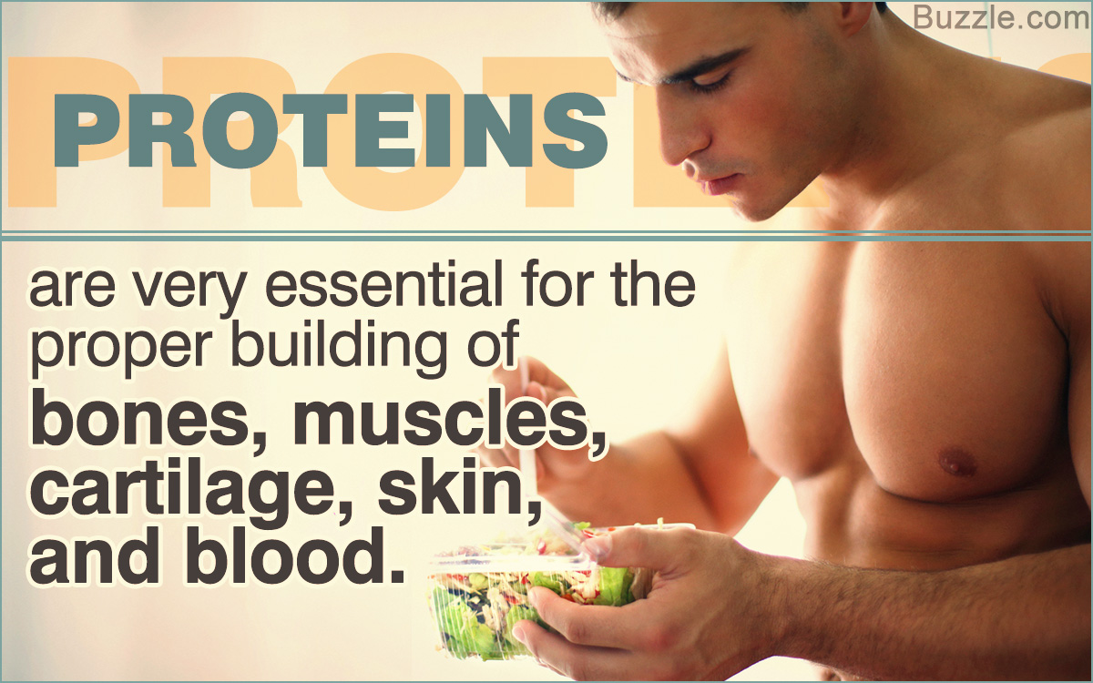 Protein isn't Always the Answer, but Proteins are Pretty Cool