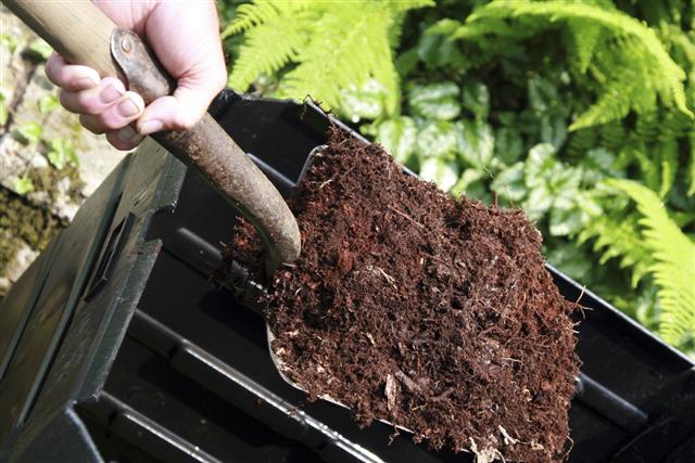 Hand Holding Shovel Full of Compost, Home Composting