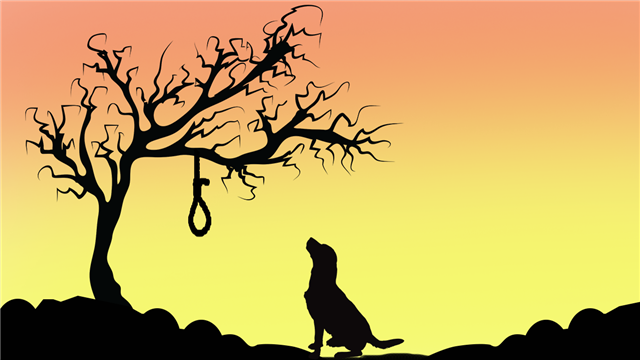 Do Animals Commit Suicide? The Answer Isn't What You Imagined - Animal Sake