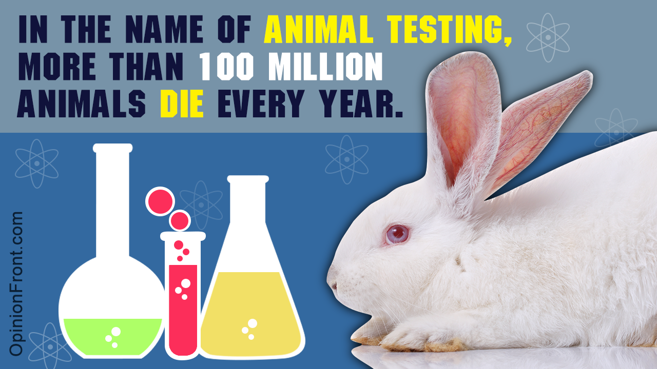 The Ugly Secrets of Animal Testing in the Cosmetic Industry - Opinion Front