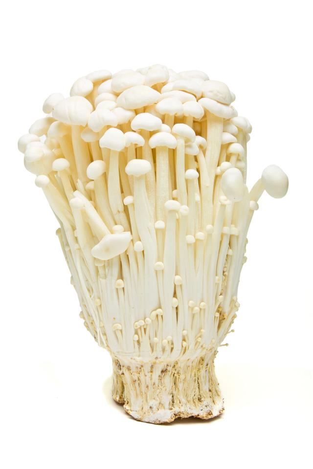 Stem Of White Enoki Mushrooms