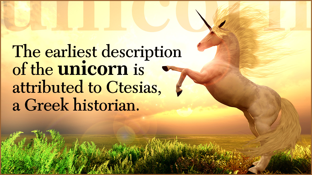 Facts about Unicorn