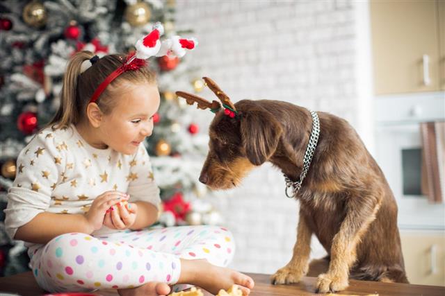Little girl in kitchen for christmas with her dog