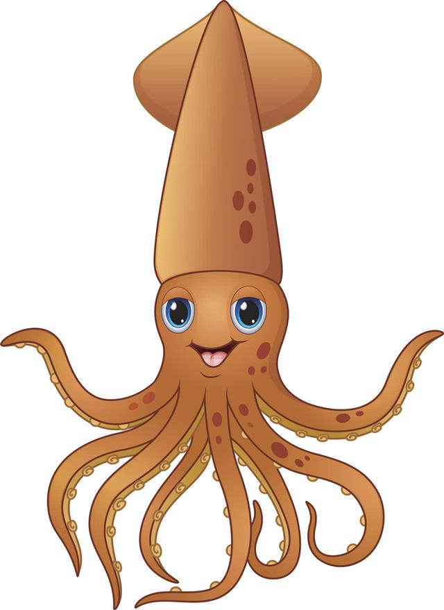 Squid Cartoon