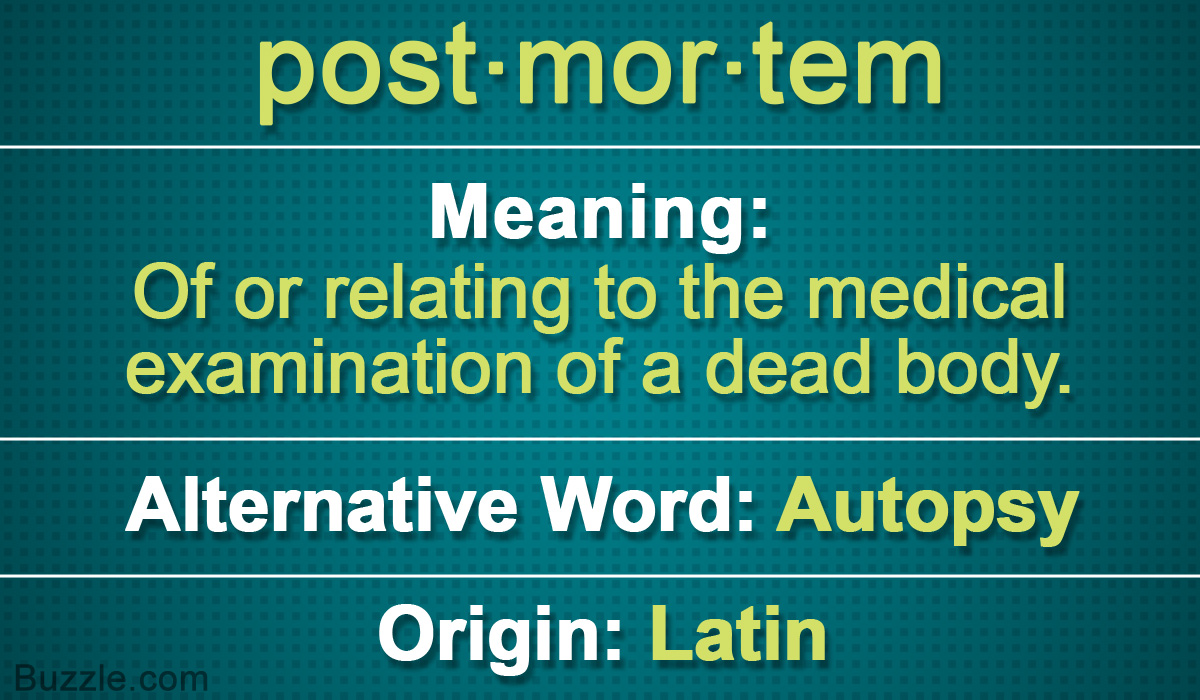 Common Latin Terms Still Used in Modern English
