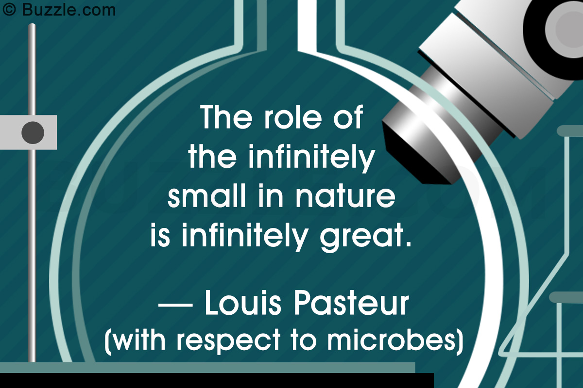 Louis Pasteur's Germ Theory of Disease