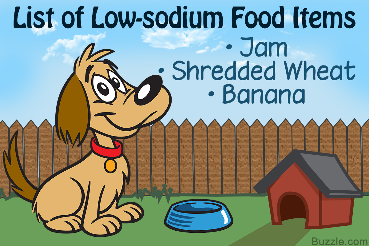 Low-sodium Dog Food Recipes