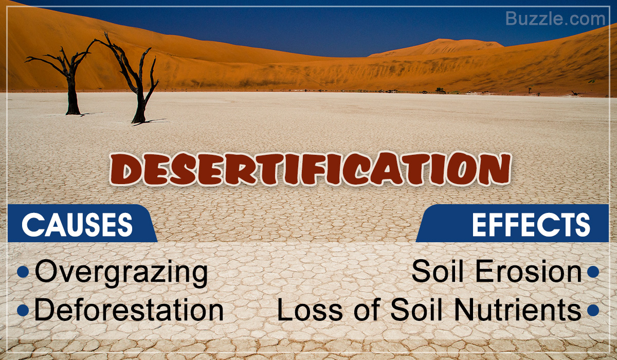 Causes and Effects of Desertification
