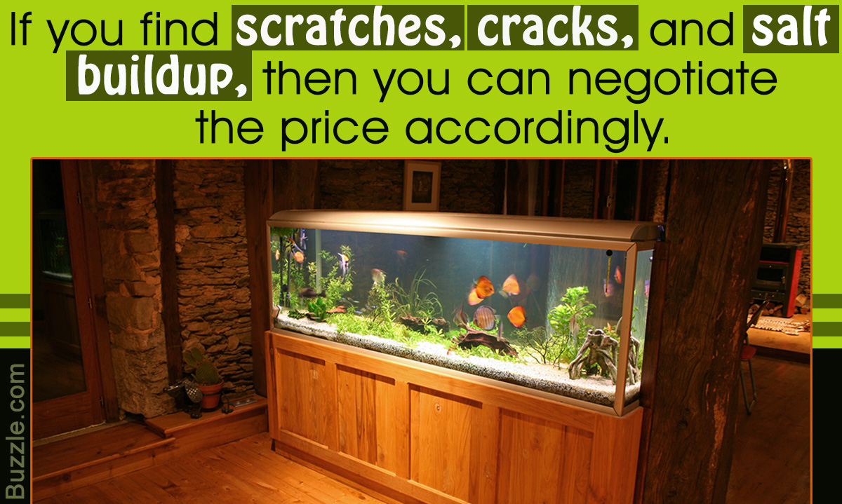 Things to Consider When Buying a Used Aquarium