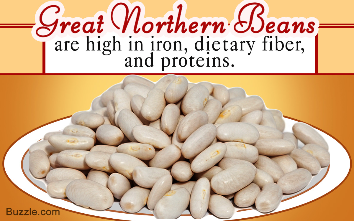Nutritional Benefits of Great Northern Beans