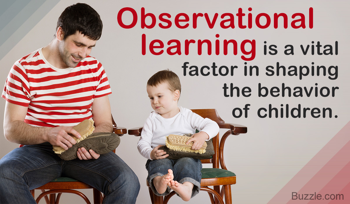 Understanding Observational Learning With Examples