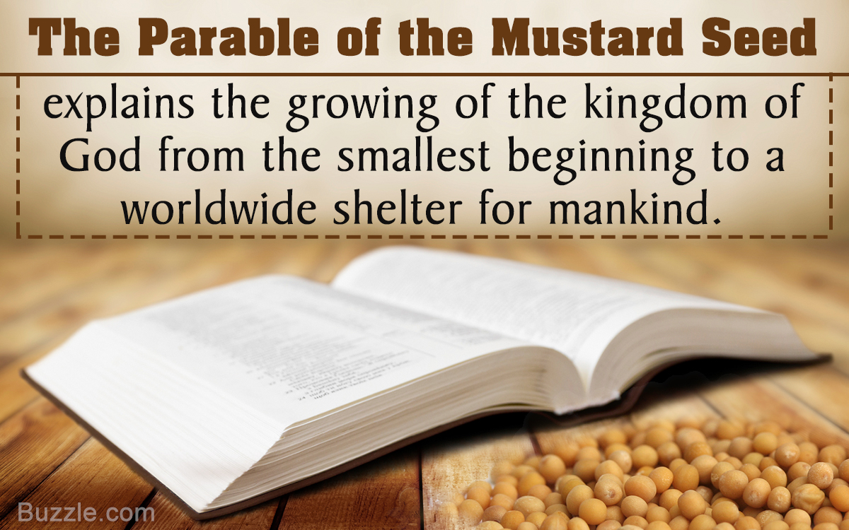 Meaning of The Parable of the Mustard Seed Explained