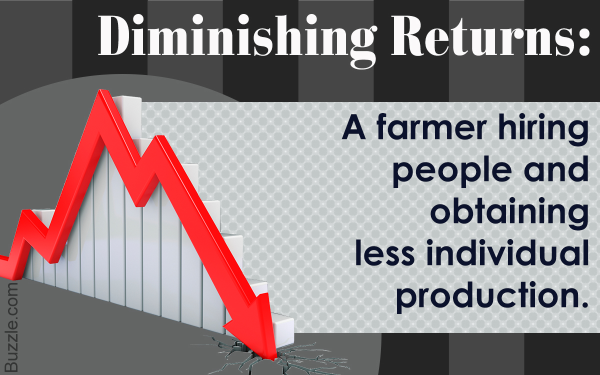 5 Examples of The Law of Diminishing Returns