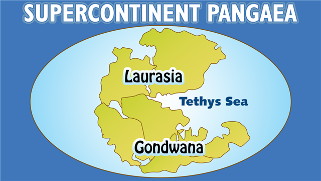 Supercontinent Pangaea