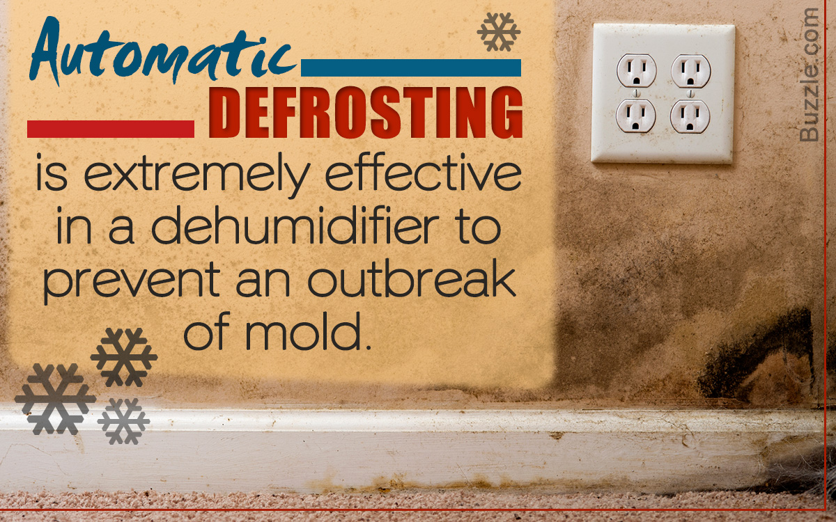How to Use a Dehumidifier to Get Rid of Mold in Your Basement