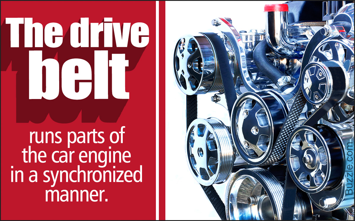 What is the Importance of a Drive Belt in a Car?