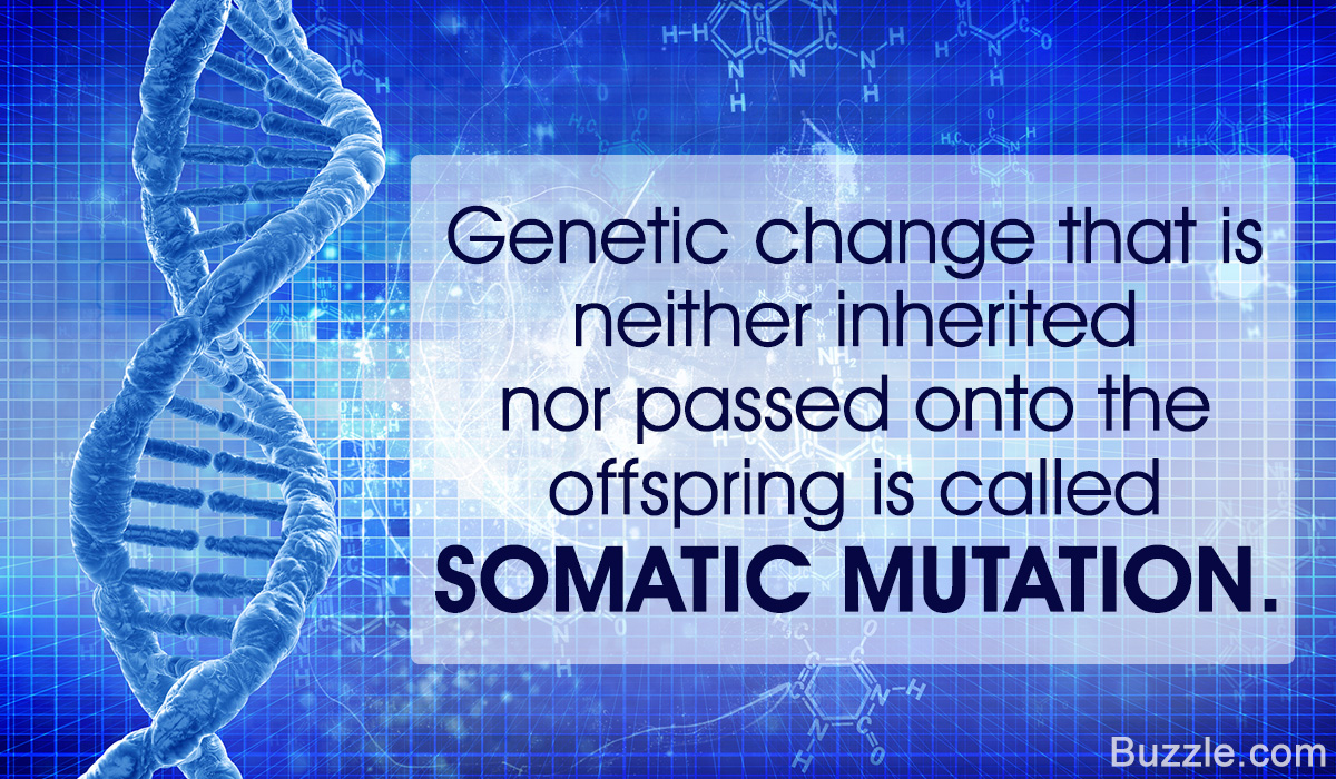A Helpful Guide to Understand Somatic Mutation with Examples