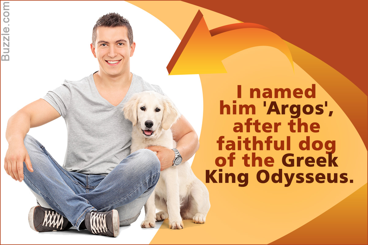Cool Greek Names for Dogs with their Meanings