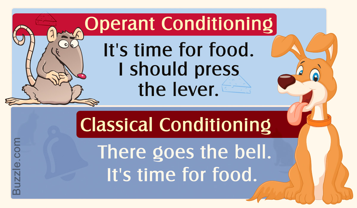 Difference Between Operant and Classical Conditioning