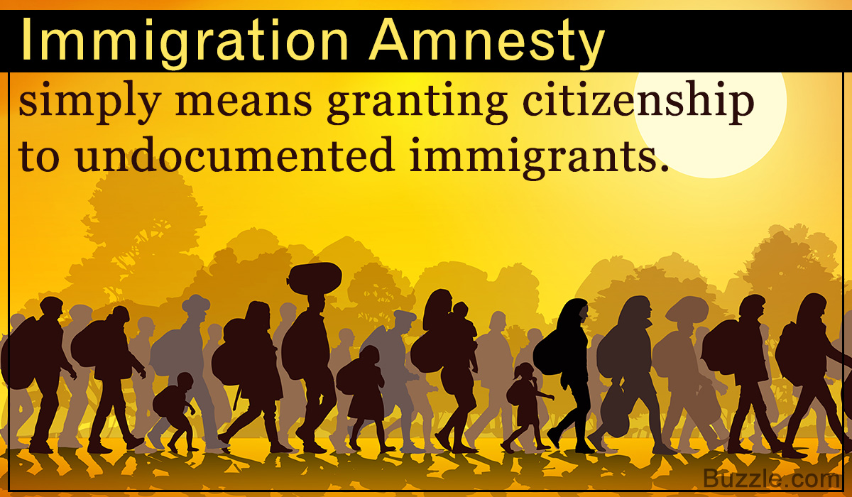 Meaning of Amnesty in Terms of Illegal Immigration