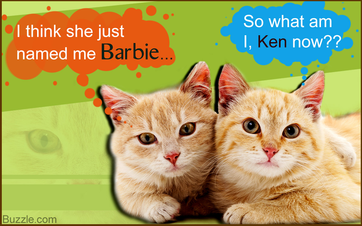 206 Cute Names for Pairs of Pets That Go Well Together