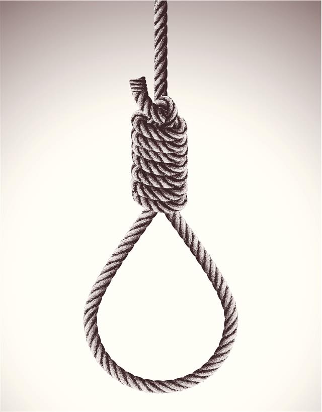 Hanging Noose