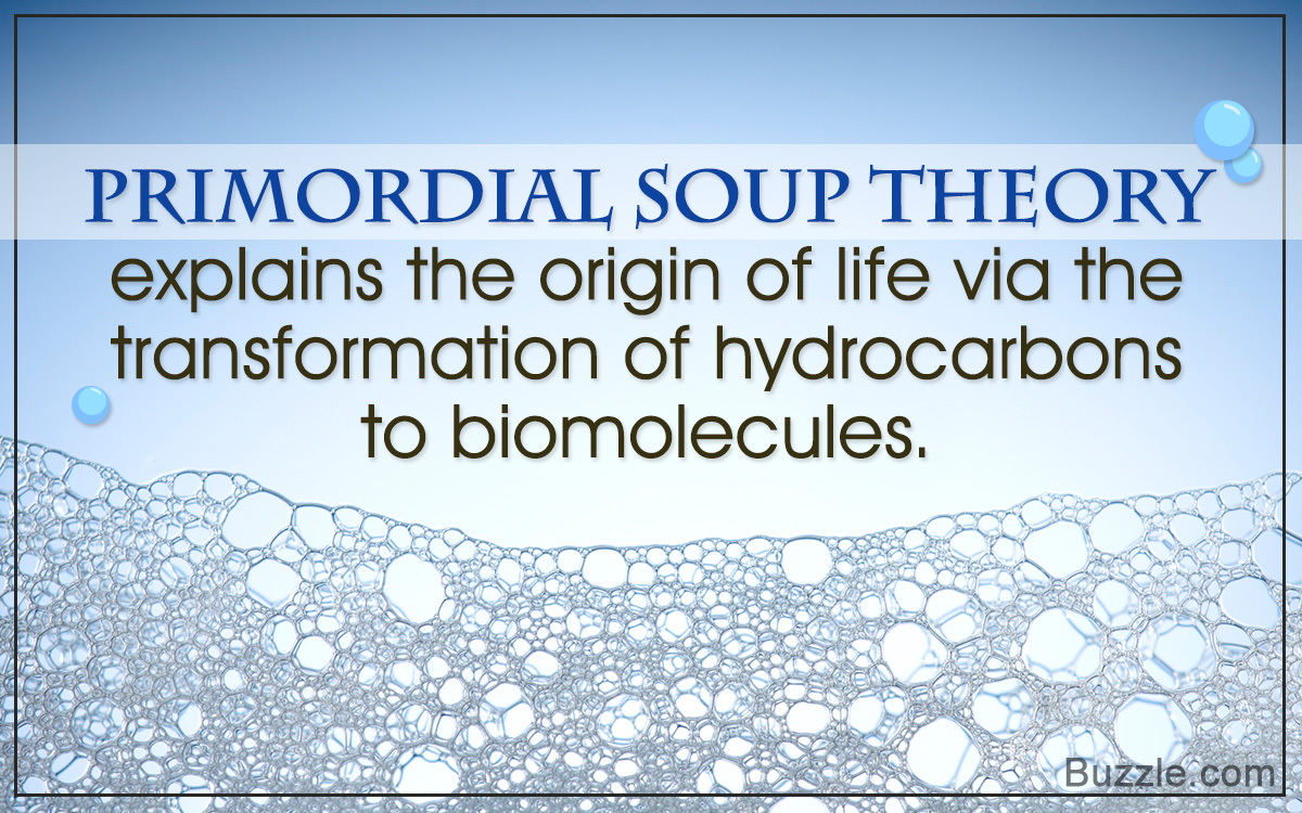 Primordial Soup Theory Explained